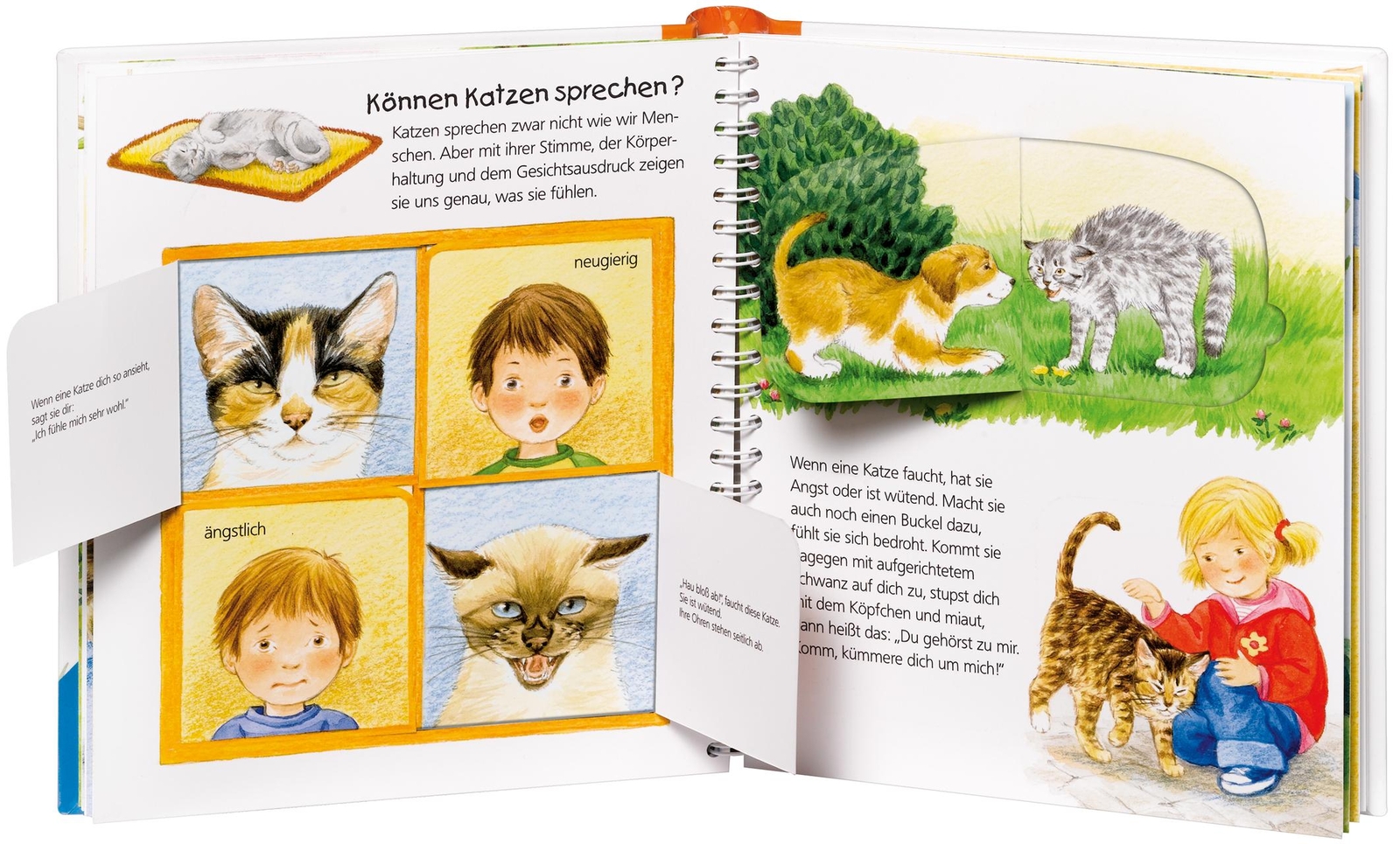 Thumbnail - Patricia Mennen Wieso? Weshalb? Warum? Junior, Band 21: Die Katze