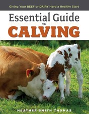 Essential Guide to Calving: Giving Your Beef ...