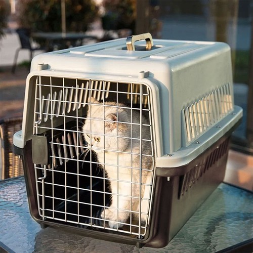 New Large Pet Carrier Cat Puppy Travel Cage Dog Carry Basket Transporter Box