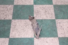 14-18 Transit Connect Black Rear Passenger RH Small Sliding Door Hinge Bracket