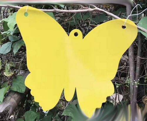20 feuilles papillon suspendu insecte volant insectes nuisibles mouches colle collante piège à papier - Photo 1 sur 2