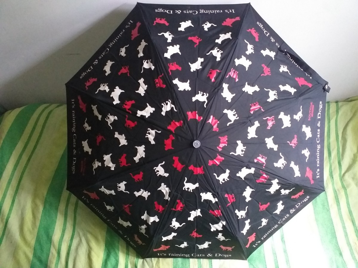 Moschino Umbrella - Raining Cats And Dogs Design Print