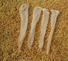 TWO SETS OF BARBIE HOSE!****