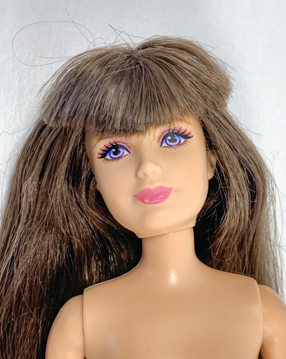 Barbie's Sister Skipper Camping Fun Tent Brunette Pink Streak Nude