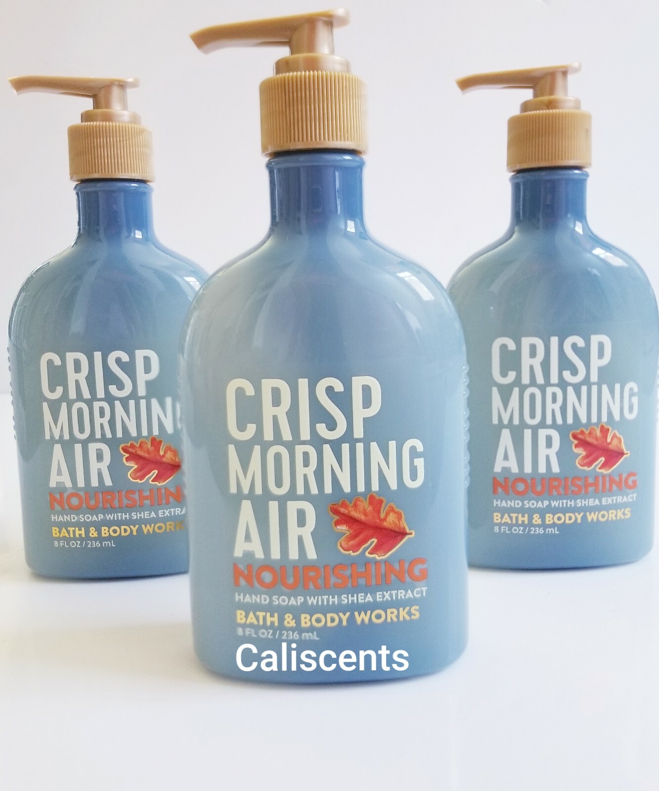 BATH & BODY WORKS CRISP MORNING AIR NOURISHING HAND SOAP X3 NEW