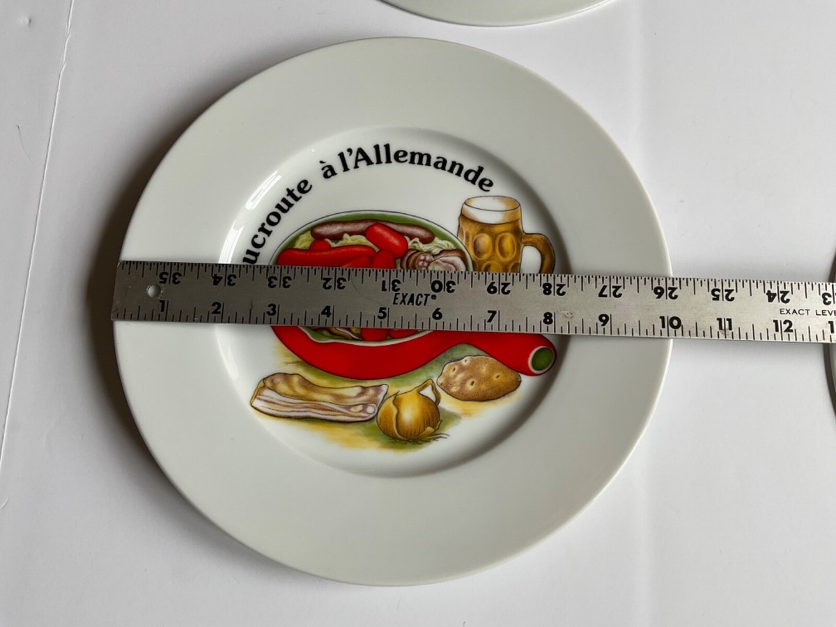 Revol La Porcelaine France 10” Dinner Plates Lot of 4 | eBay