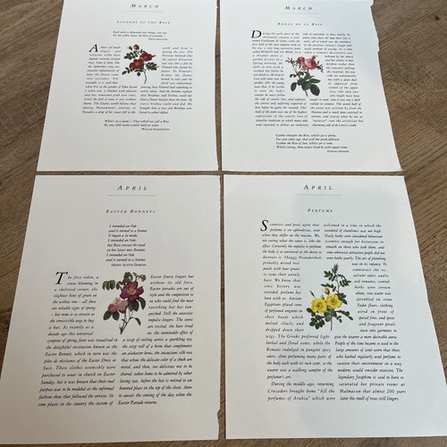 26 Vintage P. J. Redoute Print 7”x 9” Calendar Months 2 Sided Botanical Rose - Picture 5 of 23