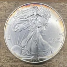 BEAUTIFULLY RIM TONED 1996 .999 Fine Silver American Eagle Coin - 1 oz / ozt