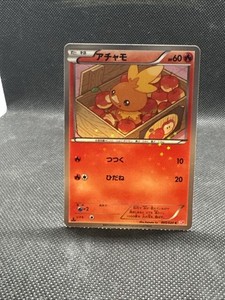 Torchic Holo | eBay