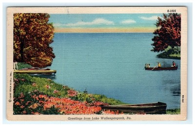 Early Lake Wallenpaupack PA Lithograph Postcard Curt Teich S-1031