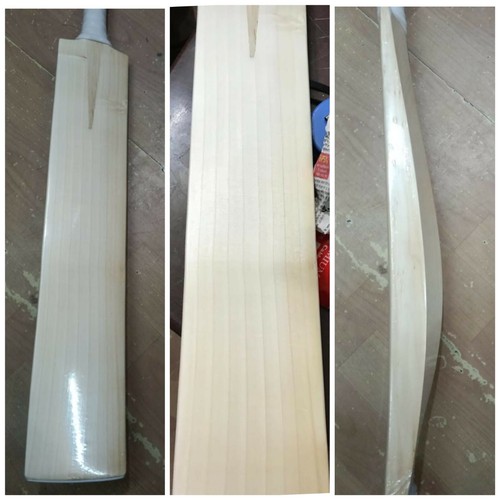 Premium English Willow Cricket Bats eBay