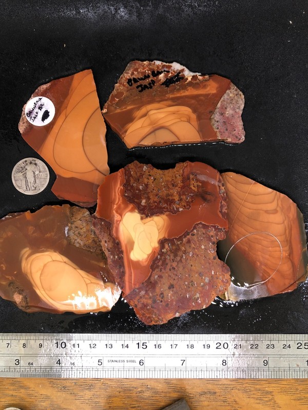 Bruneau Porcelain Jasper Orbs from Idaho AAA Mess o Slabs Solid and Hard 360g TW