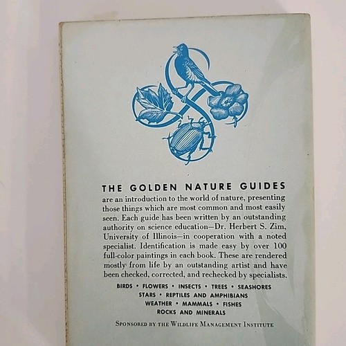 A Golden Guide to Birds Taschenbuch Vintage Taschenbuch Natur 1956 illustriert - Bild 8 von 13