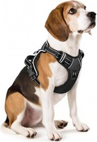 Hundegeschirr No-Pull Einstellbar Reflektierend Gepolstert Griff Schwarz M