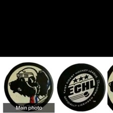 ARKANSAS RIVERBLADES ECHL RARE MASCOT LOGO - CANADA VINTAGE OFFICIAL GAME PUCK 