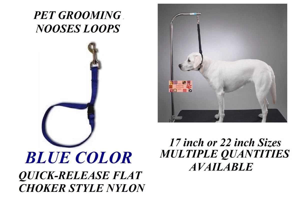 Used dog grooming equipment ebay cheap