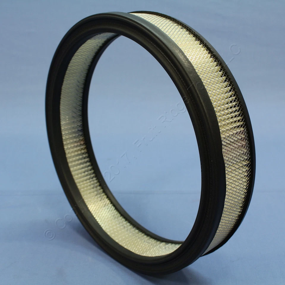 Filtros de aire de motor Purolator A30059 para Skylark 1965-1976 paquete de 5 2,375" x 9,875" Foto 4 de 4