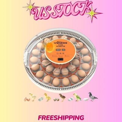 NEW 30 Eggs Incubator Auto Turning Temp Humidity Display LED Egg Candler Kit