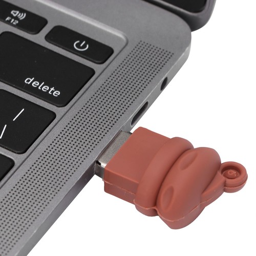 U Disk Cartoon For 7/8/10/Vista Desktops Laptops Tablets TVs Speaker CB - Afbeelding 2 van 34