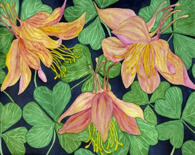 PAINTING WATERCOLOR 11X14 & WHITE MAT 16X20 FLOWER COLUMBINE PINK ORANGE  CORAL