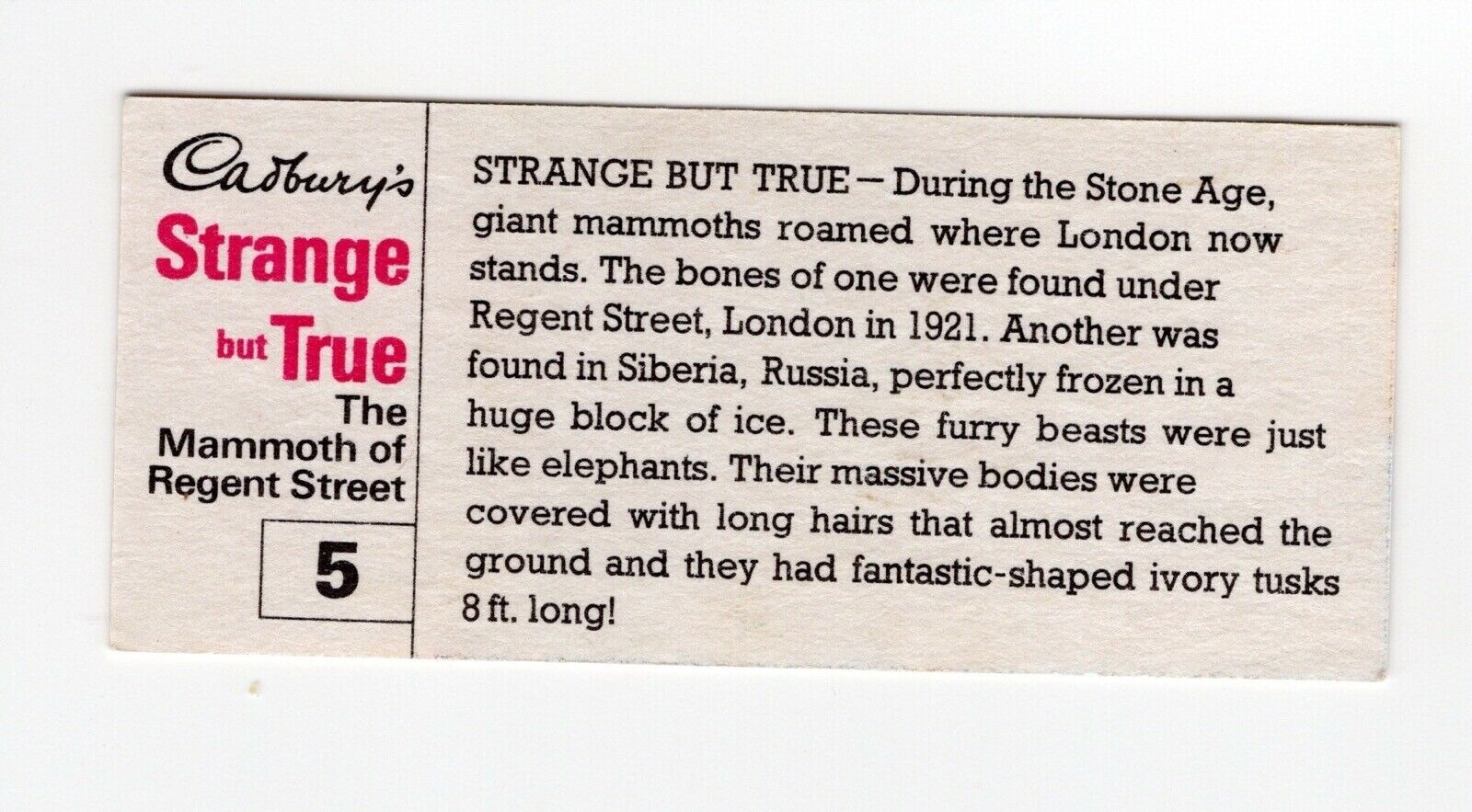 A Wooly Mammoth in Regent Street, London Trade Card 05 1970 eBay