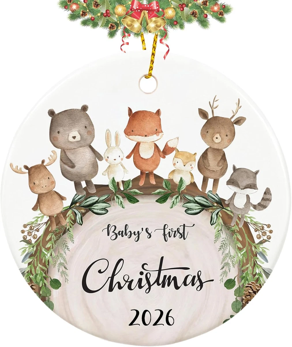 Babys First Christmas Ornament 2026, My First Christmas Ornament