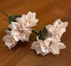 Millinery Flower Doll Size 1" Pink Champagne 2p Lot for Hat Wedding or Hair Y221