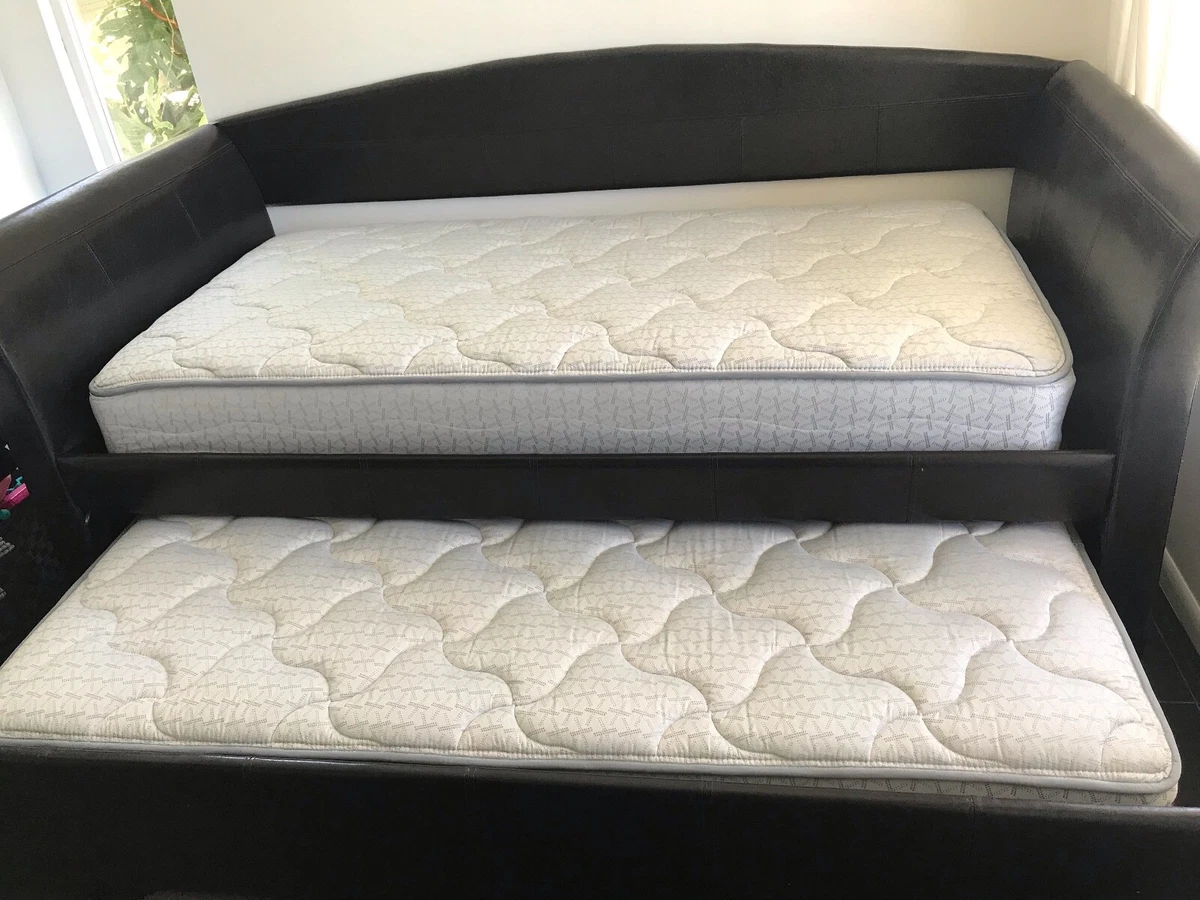 Sears Sofa Bed Matttroy