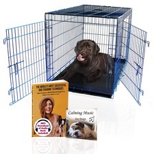 PET Expressions Luxury Colorful 48 Inch Foldable Dog Crate with 2 Doors  Fre...