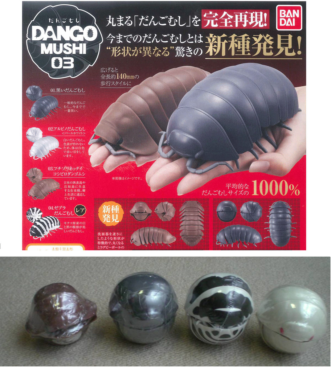 BANDAI GASHAPON Capsule Toy Dango-Mushi Transformable Pill Bug