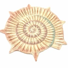 Fitz And Floyd Shell Dish Beach House Ocean Nautical Soap Catch All Keys Jewelry