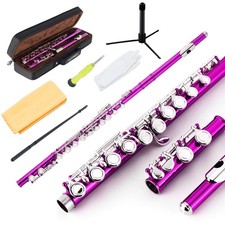 EASTROCK Closed Hole Flutes C 16 Key for Beginner, Kids, Student -Nickel Flut...