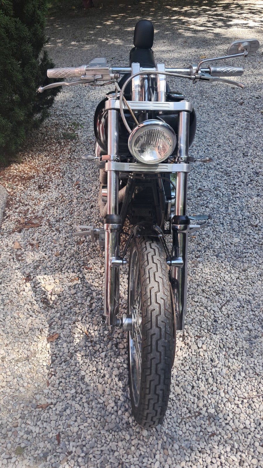 Harley Davidson foto 2