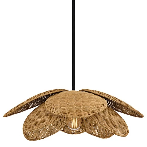 Quoizel WLL2822 Willa 22"W Pendant - Black - Picture 1 of 8