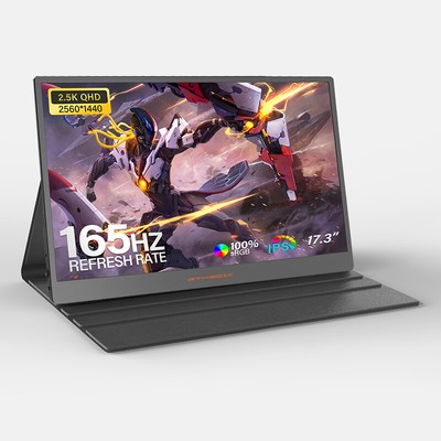 GTMEDIA GAMEMATE 17,3 Zoll QHD Tragbarer Monitor 2560x1440,165Hz HDR10 USBC HDMI