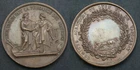 1 Agricultural Fair Medal From Lyon And Vaugneray In Bronze (215)