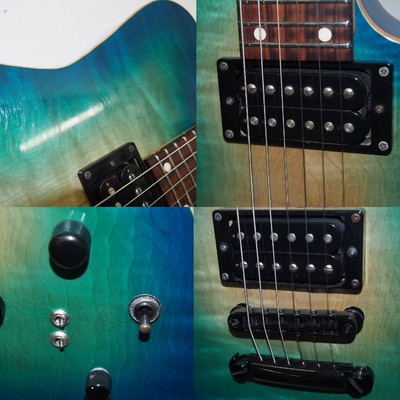 dragonfly BORDER CUSTOM 666 Electric guitar with semi-hard dragonfly BORDER CUSTOM 666 Electric guitar with semi-hard