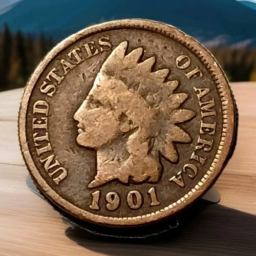 1901 Indian Head Cent Actual Coin Shown - A19