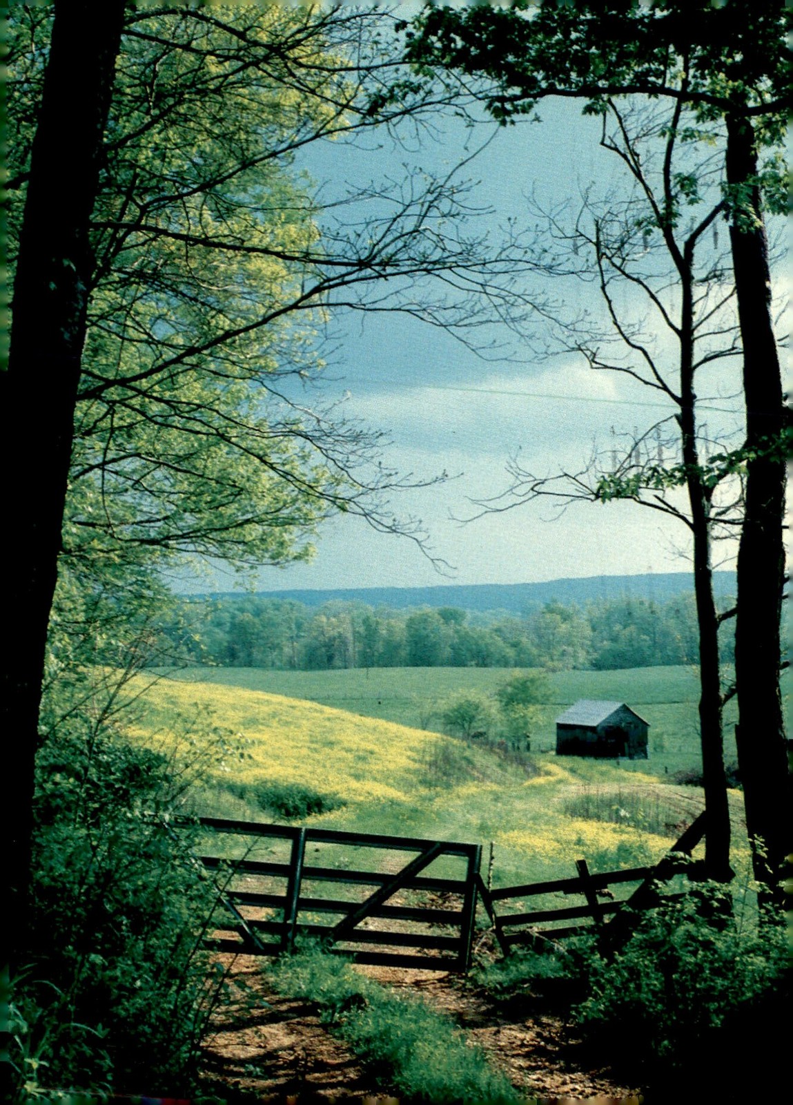 Spring Move Planning, Mortgage Rates, Mt. Prospect, Il Postcard