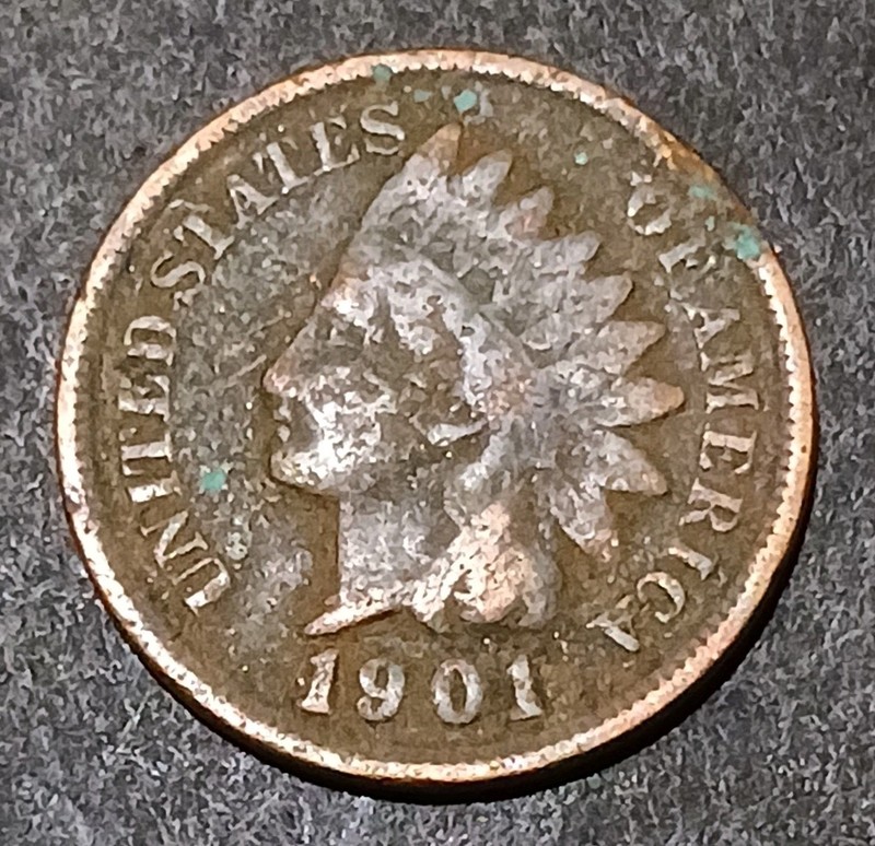 1901 Indian Head Cent Penny Antique Copper U.S.A. 1 Cent Coin Avg Circ 