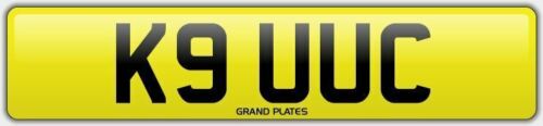 K9 DOG PUPPY HOUND Number plate K9 UUC NO ADDED FEES DOGGY WALK WOOF YOU SEE - Afbeelding 1 van 3