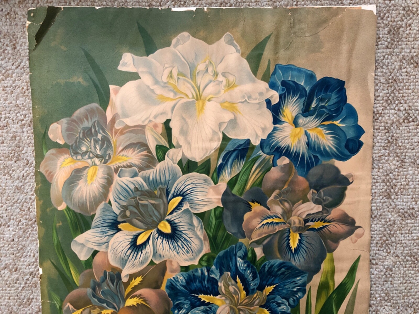 Picture 5 of 15