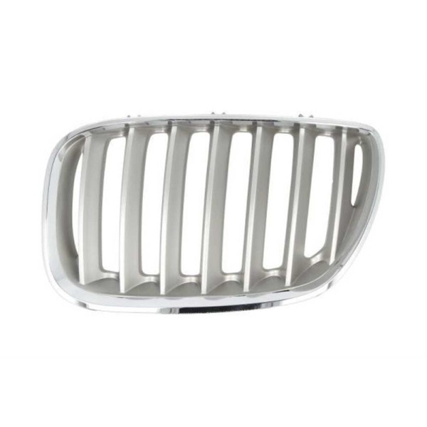 KüHlergrill KüHlergitter Frontgrill Titan Passend FüR Bmw X5 E53-image