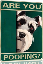 Schnauzer Vintage Are You Pooping Tin Metal Signs Home D cor 8x12