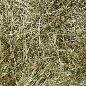 meadow hay for rabbits