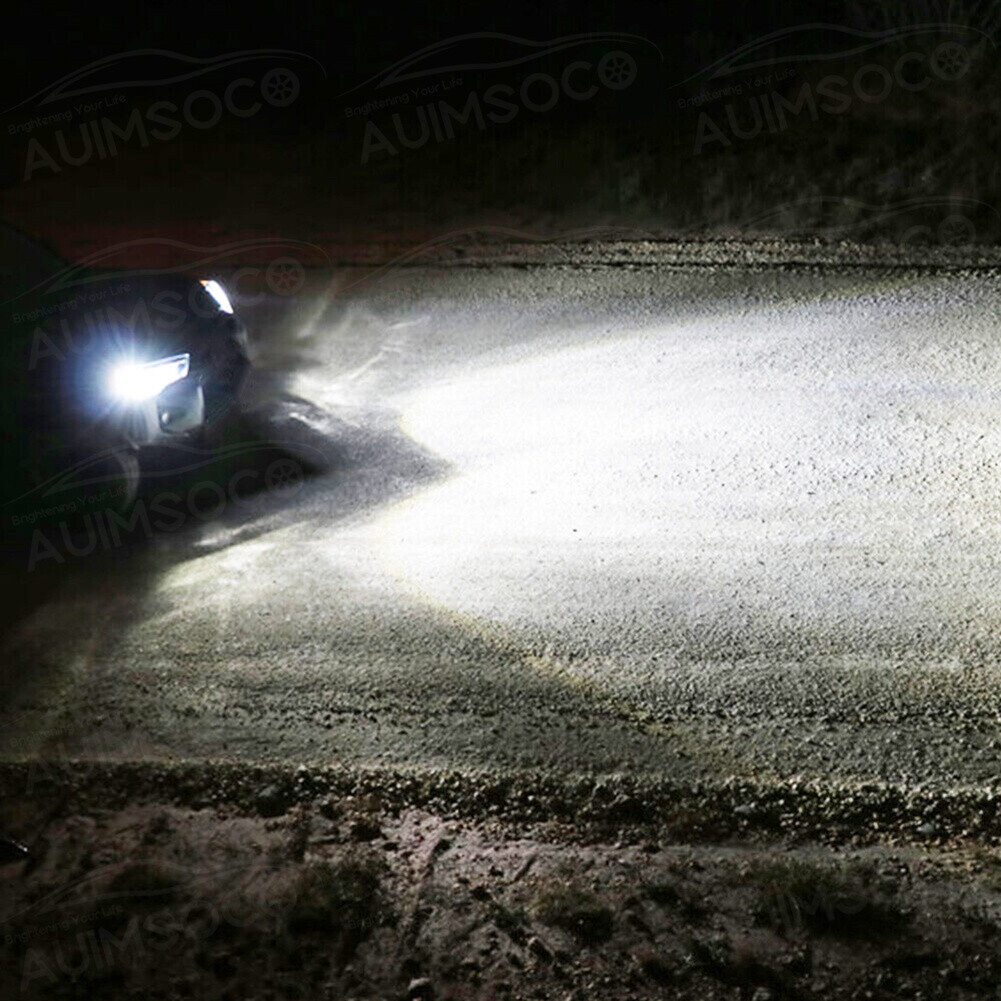 Imagen 2 de 12