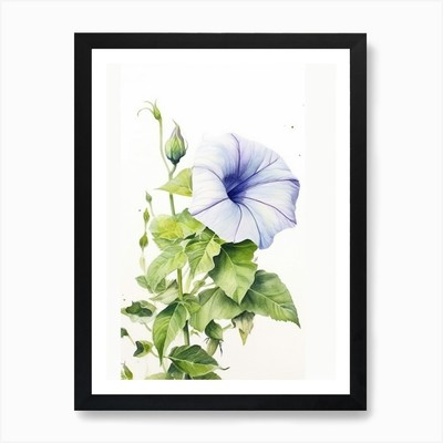 Beehive With Morning Glory Watercol Framed Wall Art Poster Canvas Print Picture