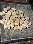 Dug Civil War Us + Confederate Bullets  Pile Collection 1861