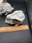 Picture 16 of 22