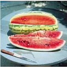 Garrisonian Watermelons Seeds (25 Seed Packet) (More Heirloom, Organic, Non GMO,